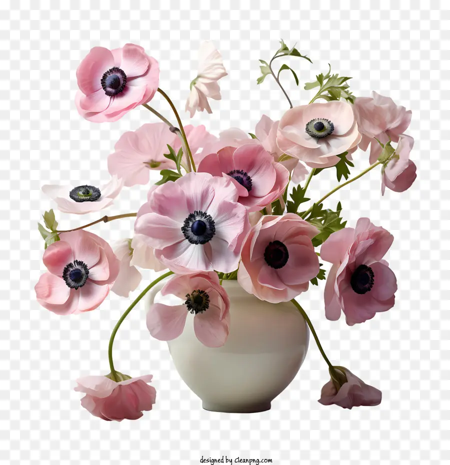 Anémone Fleur，Fleurs PNG