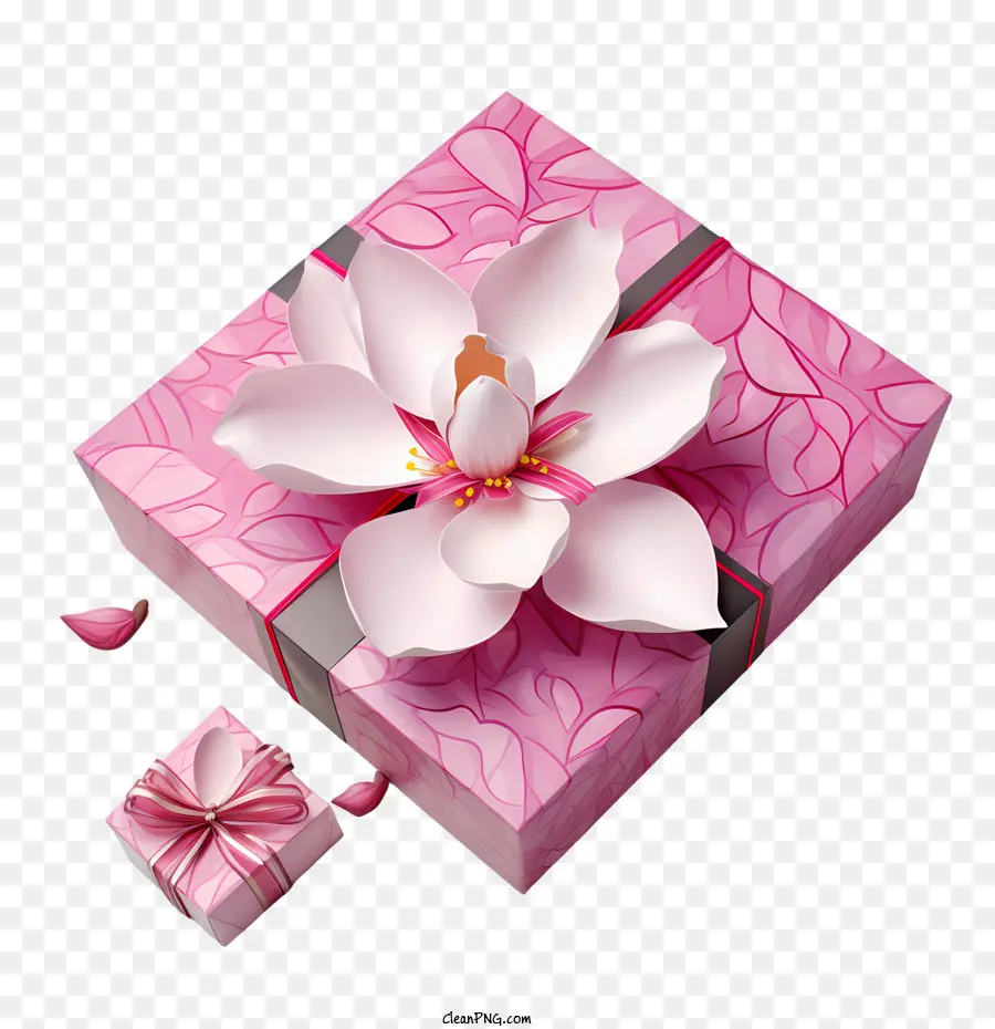 Coffret Rose，Fleur PNG