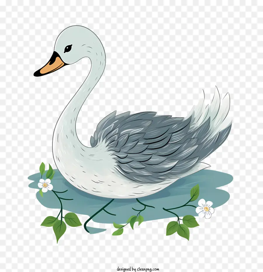 Cygne，Eau PNG