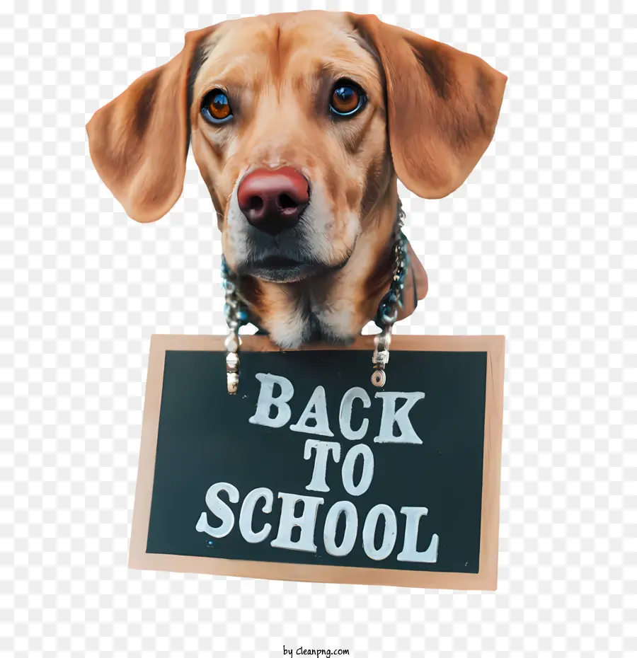 Retour à L'école，Chien PNG