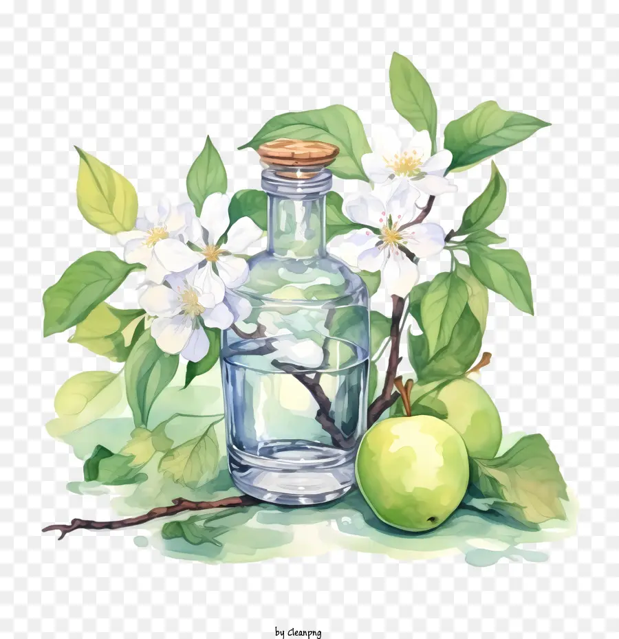 Fleur De Pommier，Bouteille En Verre PNG