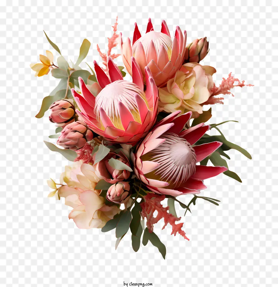 Fleur De Protéa，Fleurs PNG