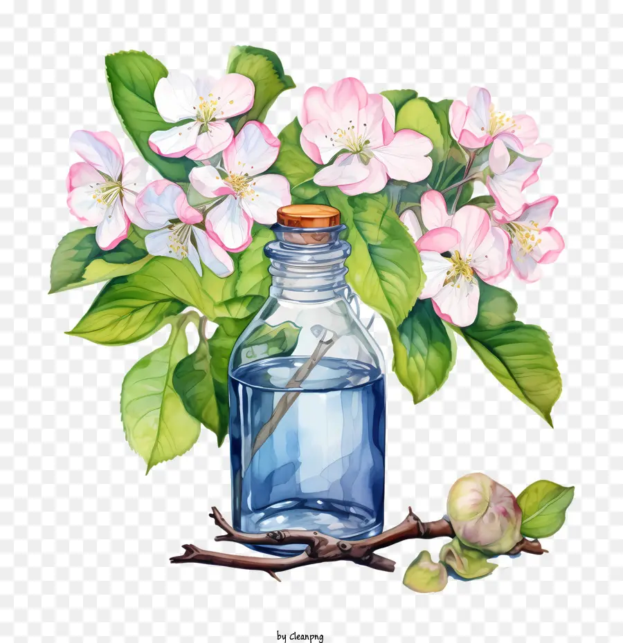 Fleur De Pommier，Vase à Fleurs PNG