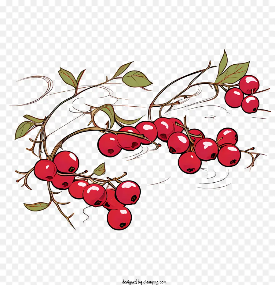 Canneberges Rouges，Fruits Rouges PNG