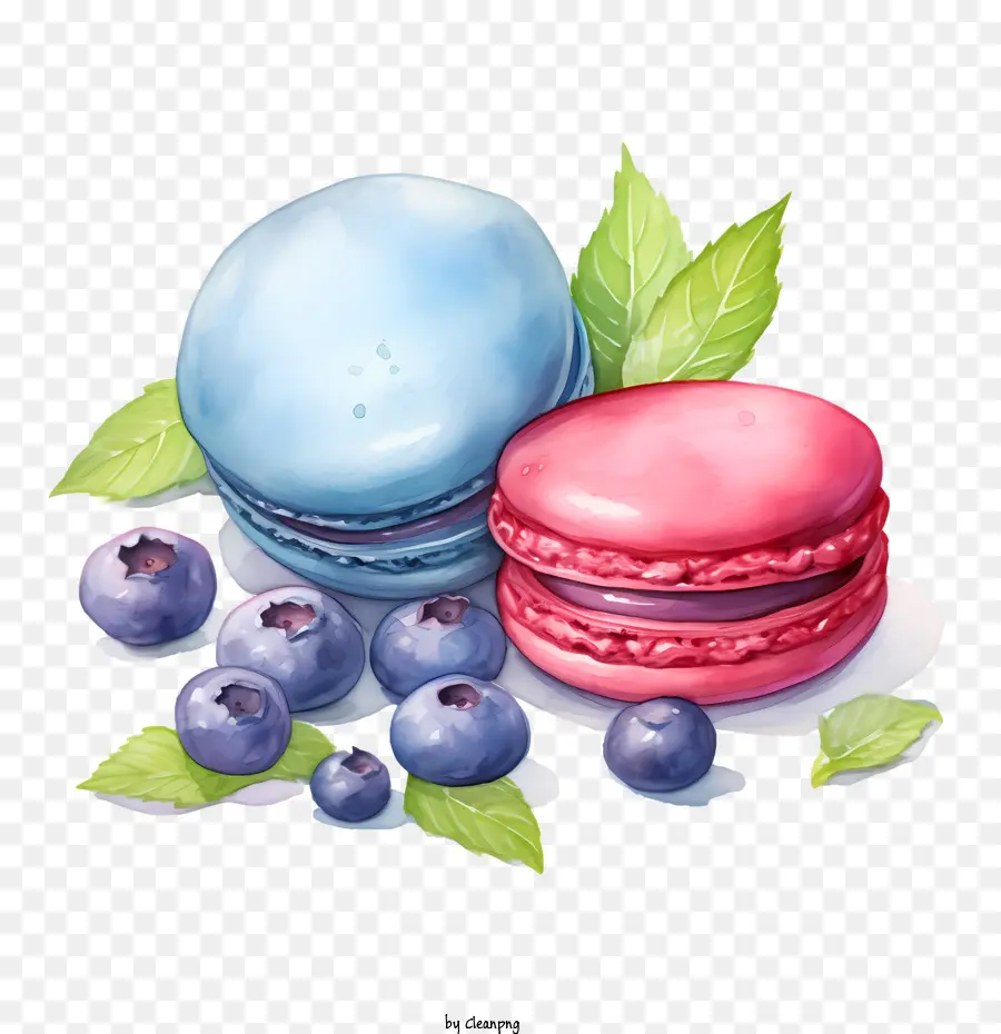 Journée Du Macaron，Macarons PNG