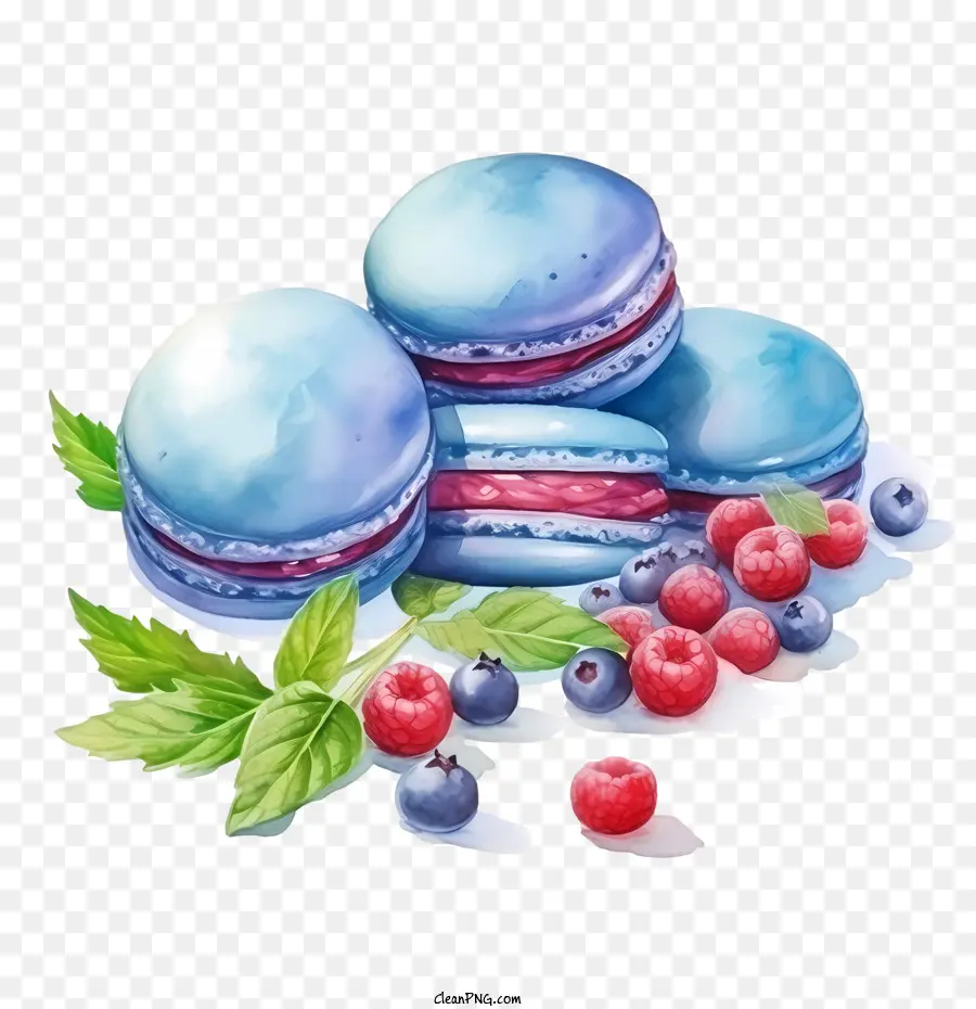 Journée Du Macaron，Macarons PNG