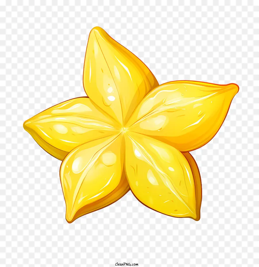 Carambole，Fleur PNG
