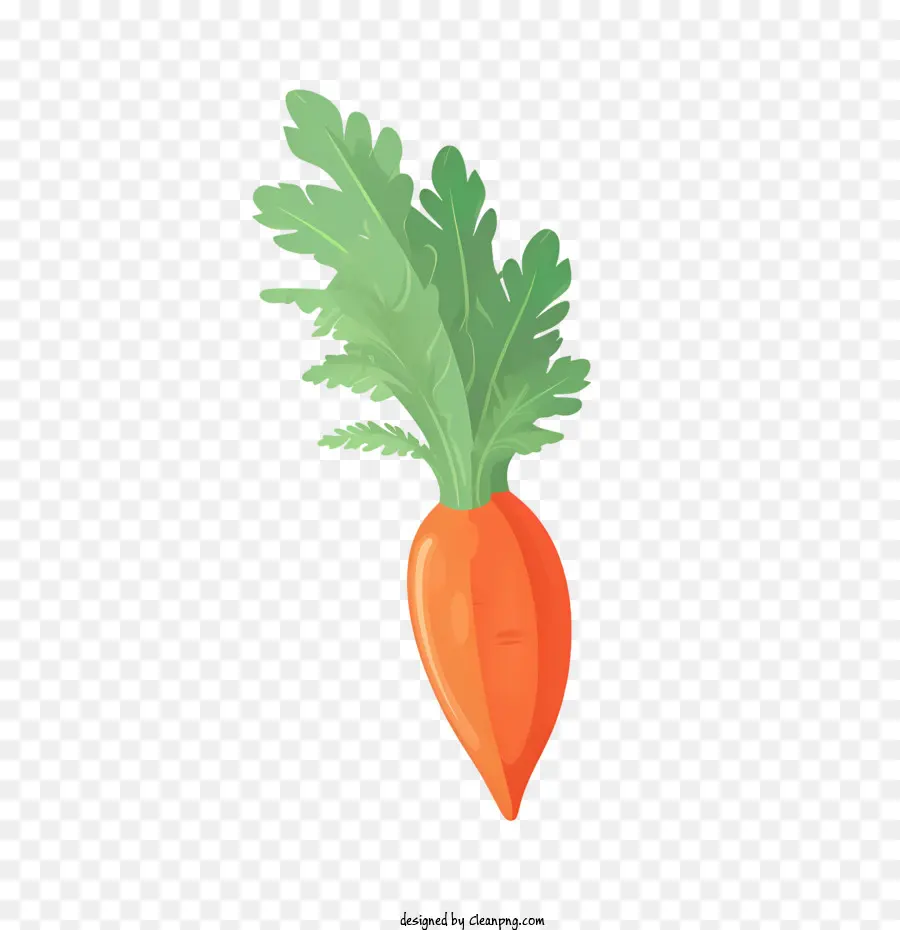 Carotte，Orange PNG