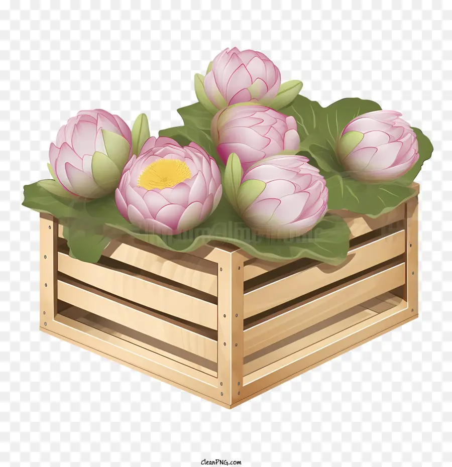 Fleur De Lotus，Fleurs De Lotus PNG