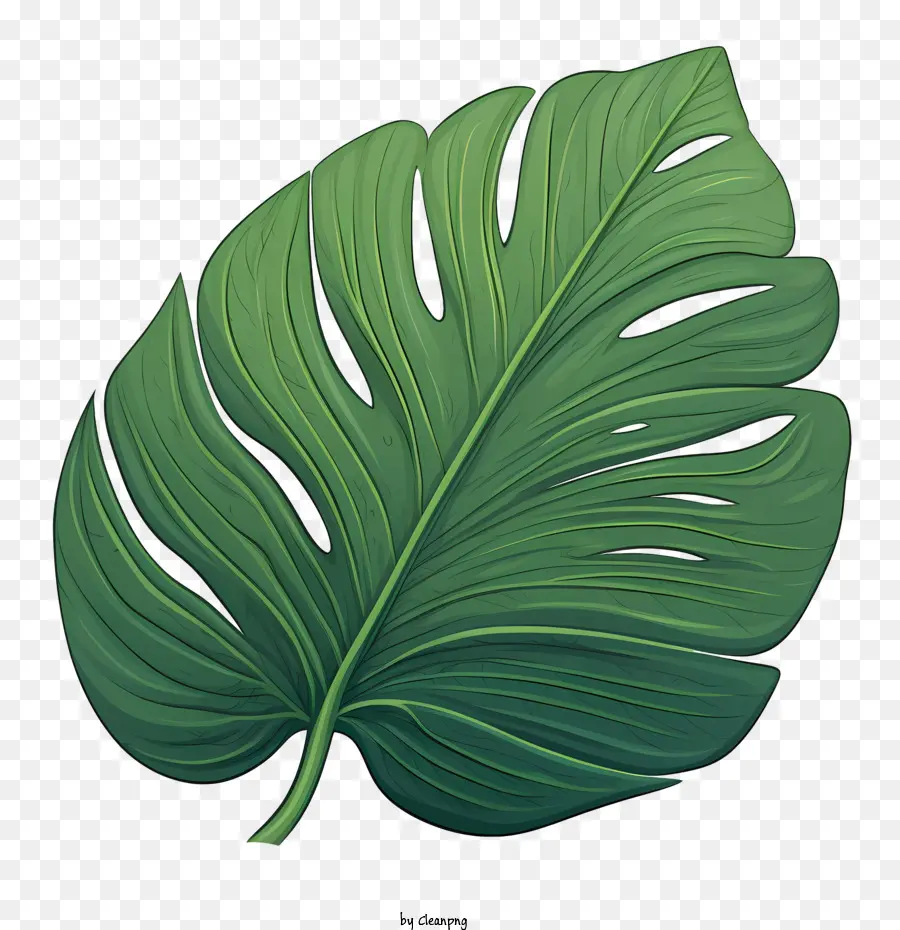 Feuille Tropicale，Feuilles Vertes PNG