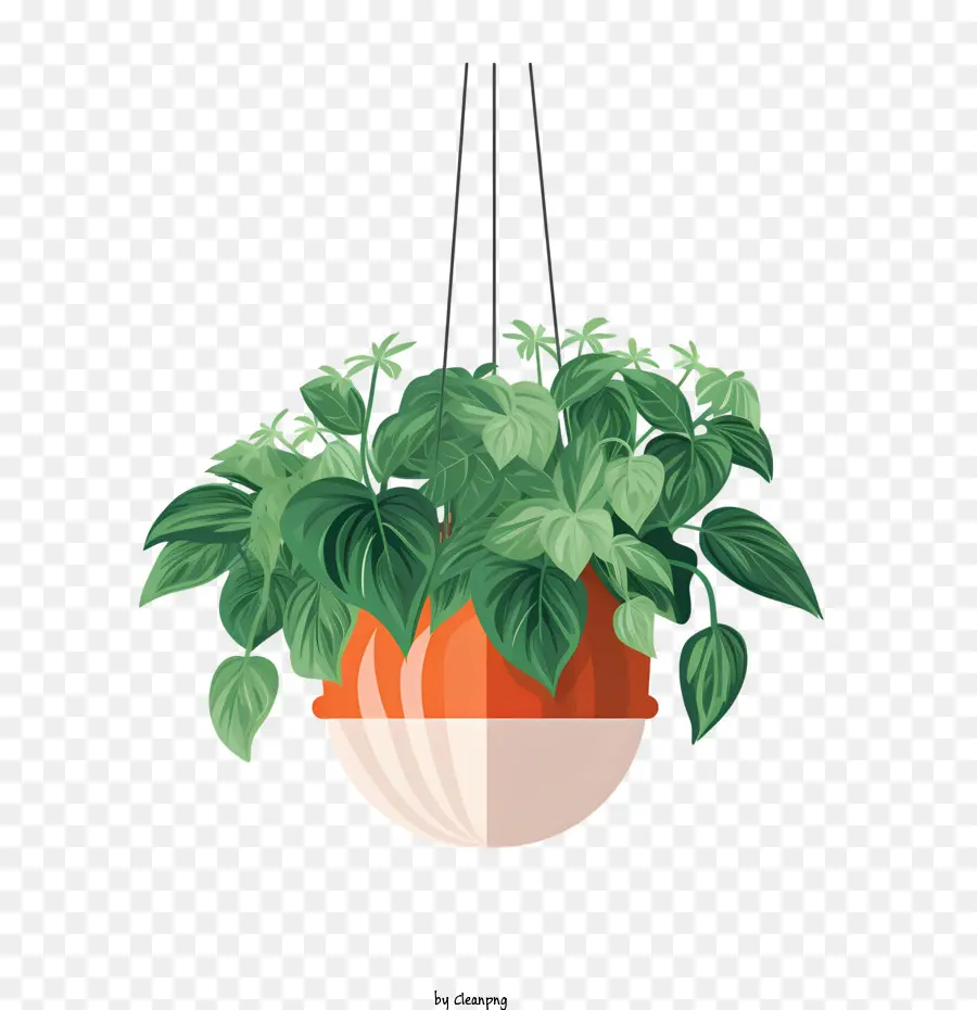 Plante Suspendue Avec Pot，Pot De Fleur PNG