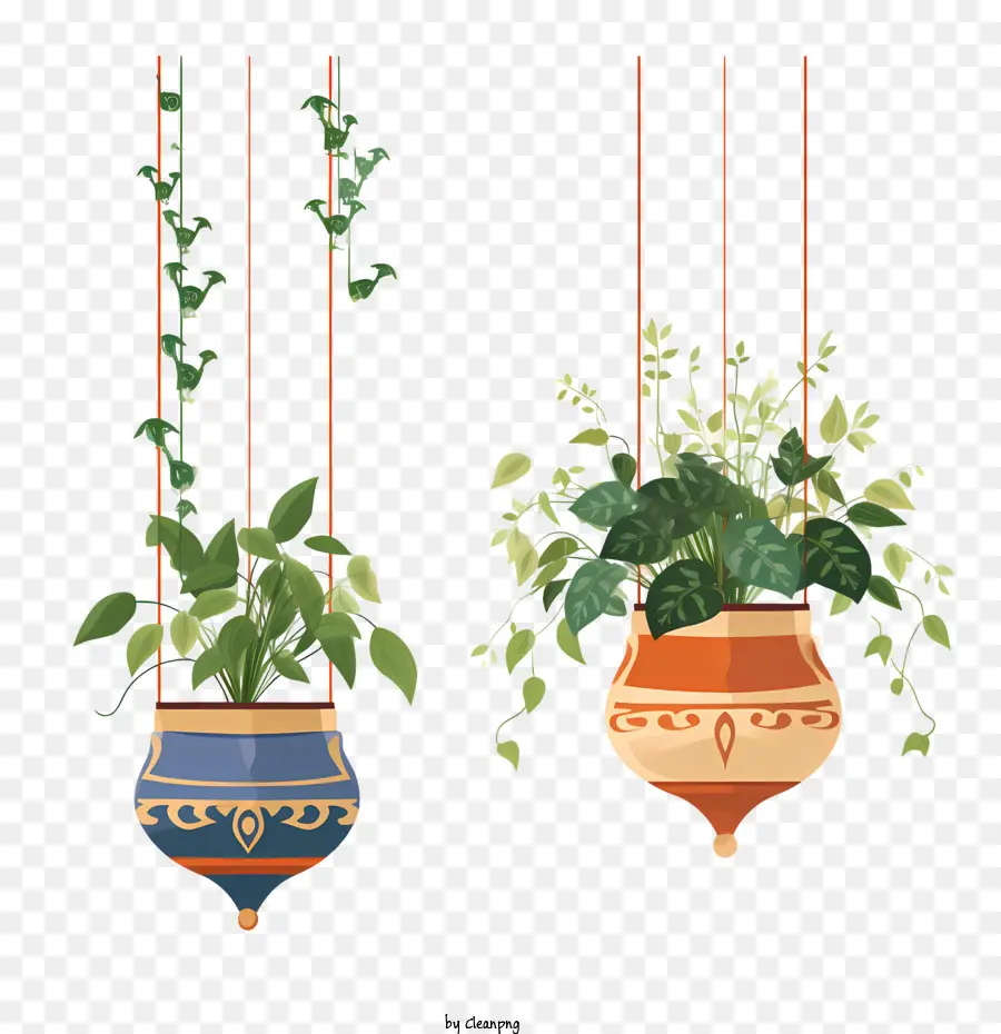 Plante Suspendue Avec Pot，Plante PNG