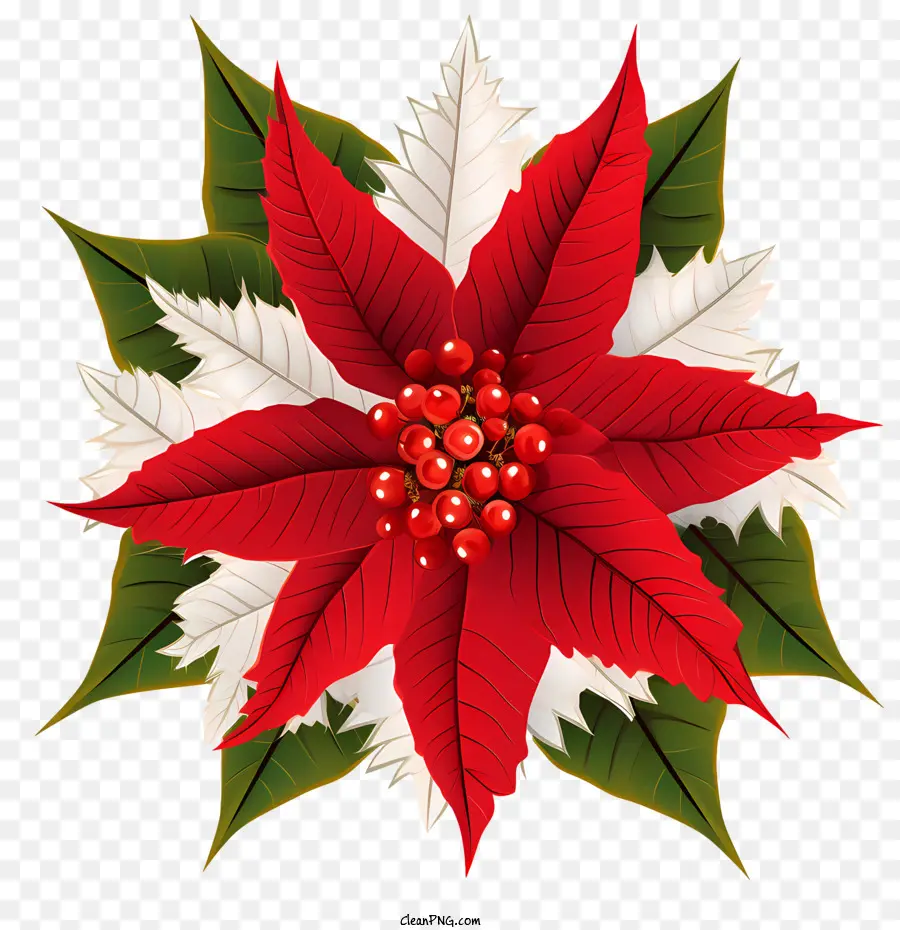 Poinsettia，De Vacances De Décoration PNG