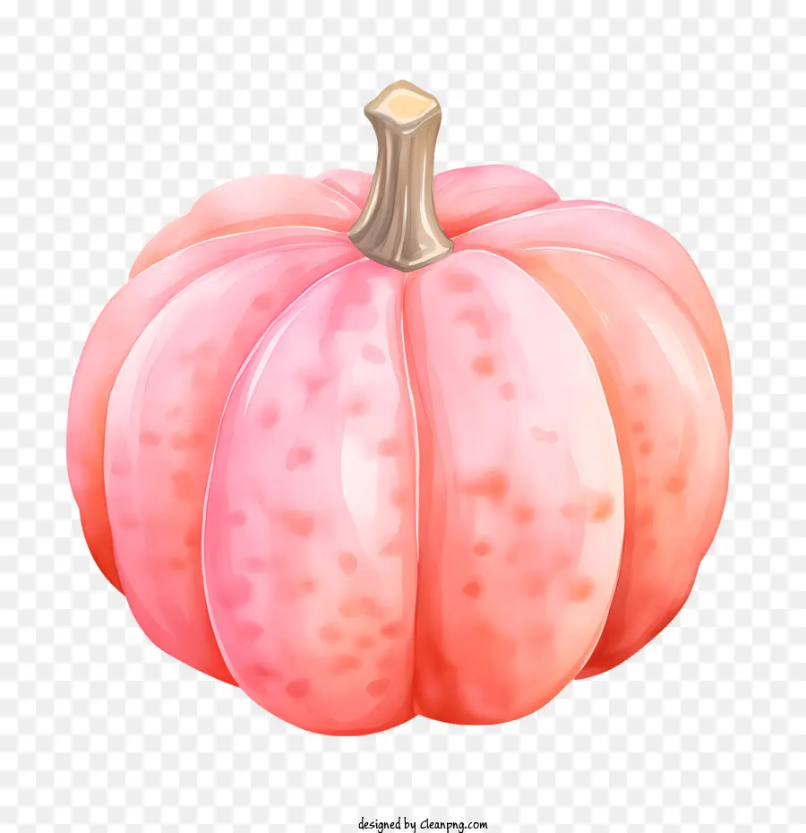 Citrouille Rose，Gourde PNG