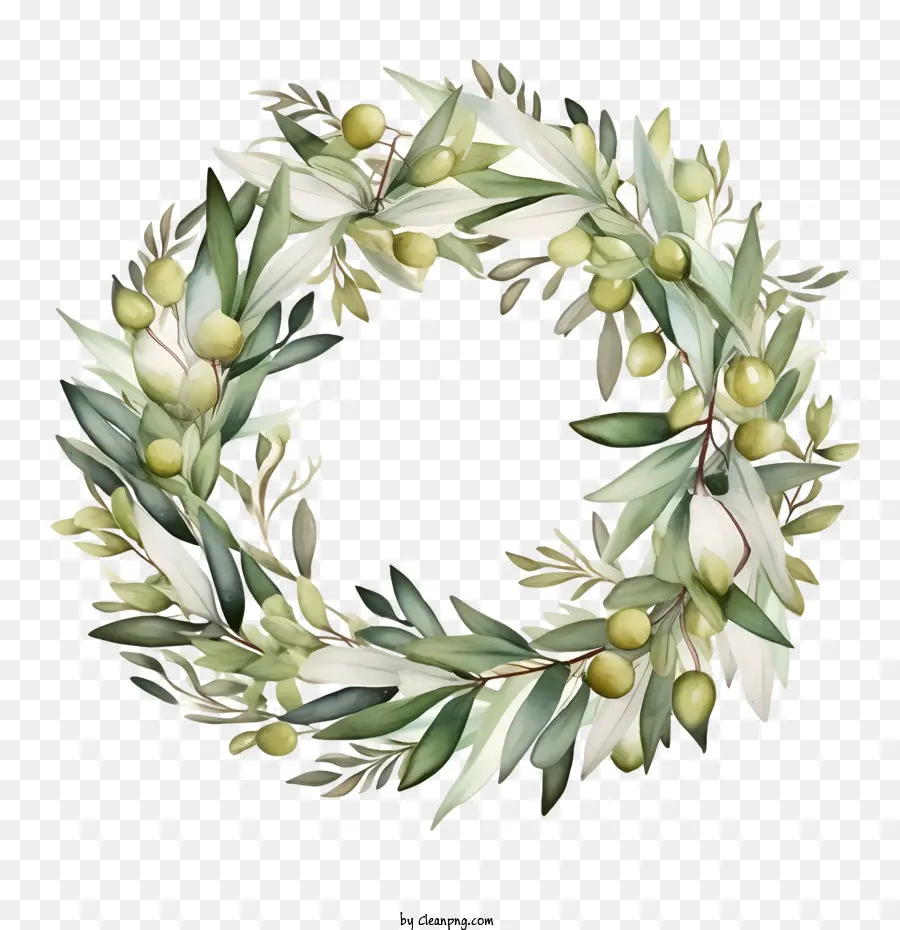 Couronne D'olivier，Olive PNG