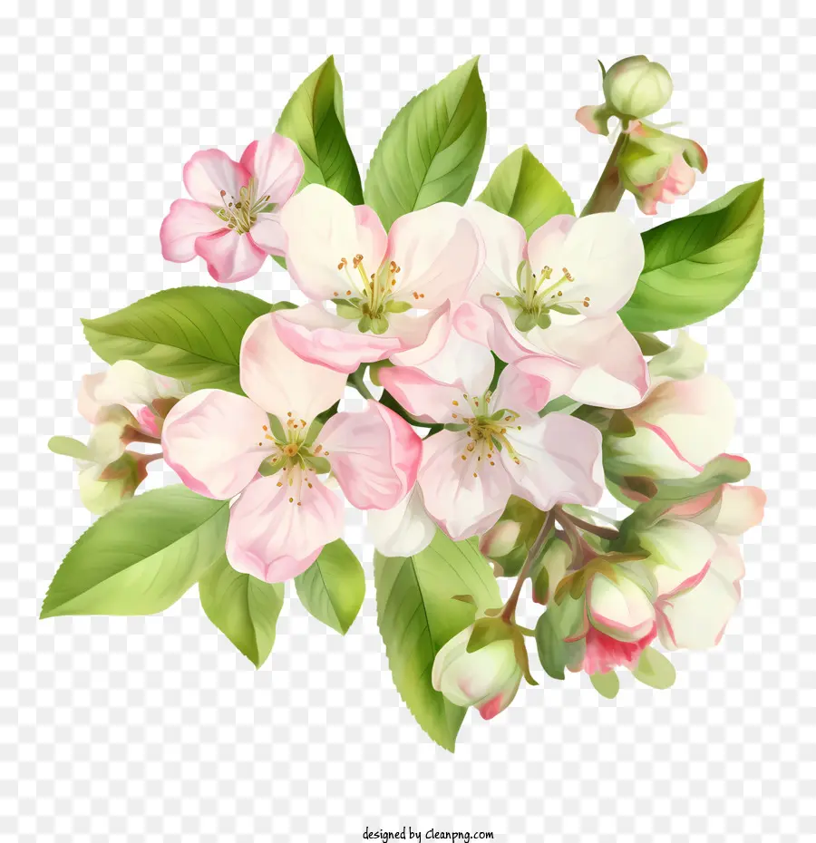 Fleur De Pommier，Bouquet De Fleurs PNG