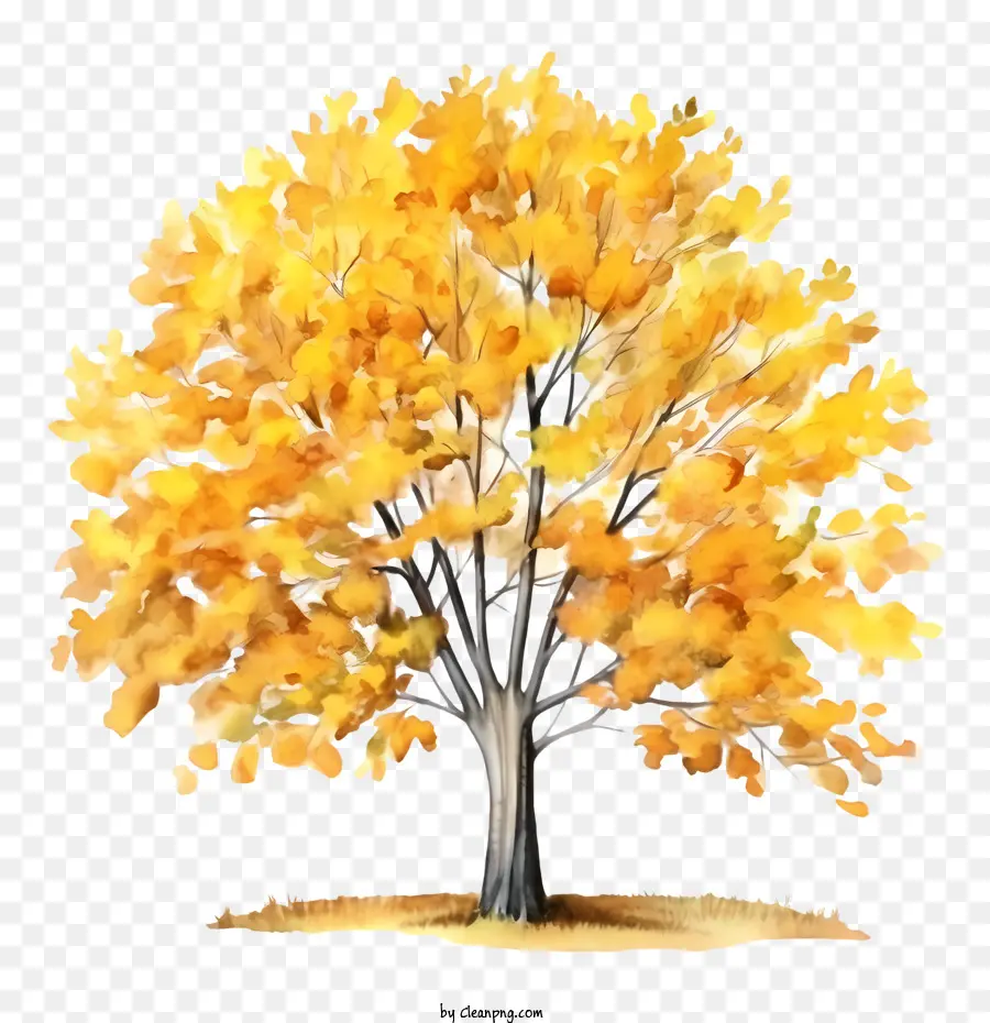 Automne Arbre，Feuilles D'automne PNG