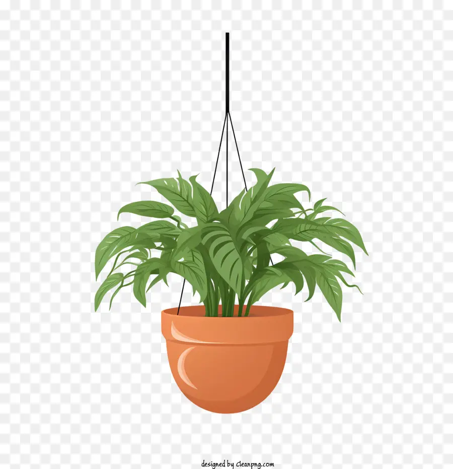 Plante Suspendue Avec Pot，Plante Suspendue PNG