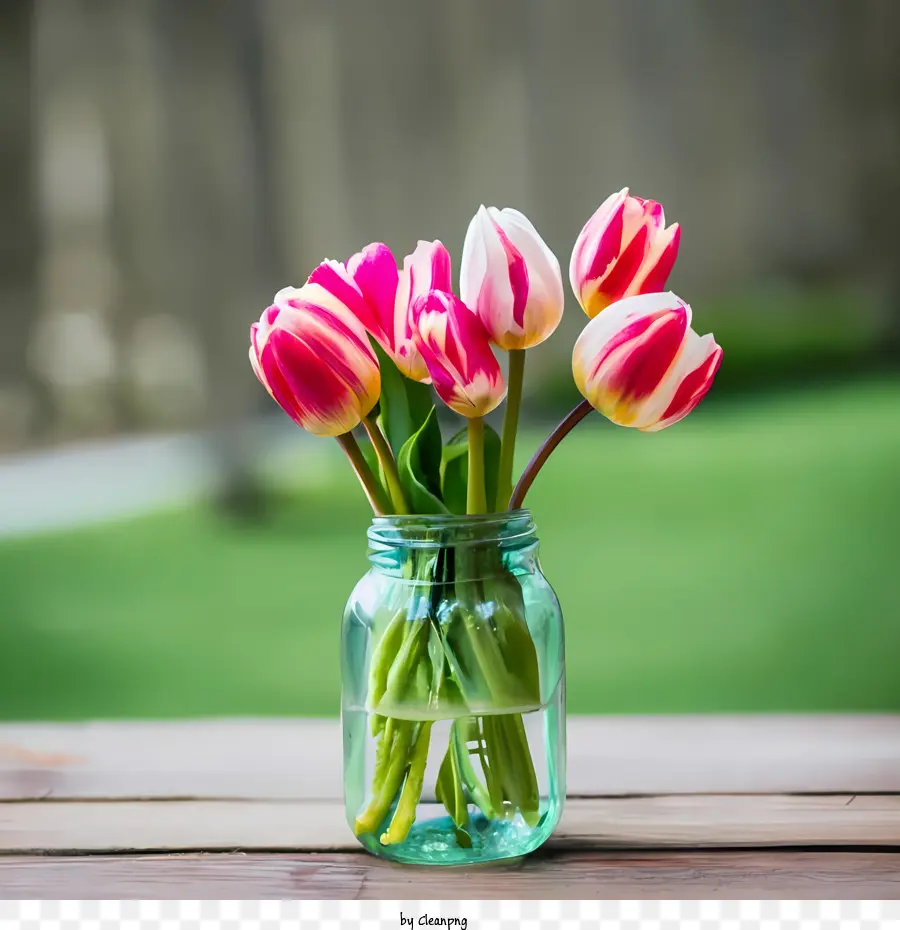 Journée Nationale Des Pots Mason，Tulipes Dans Un Pot Mason PNG