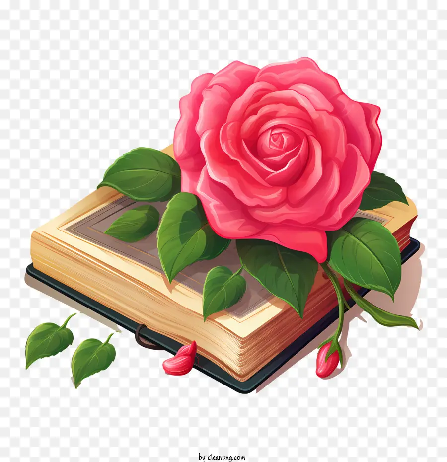 Journée Nationale Du Dictionnaire，Rose Rose PNG