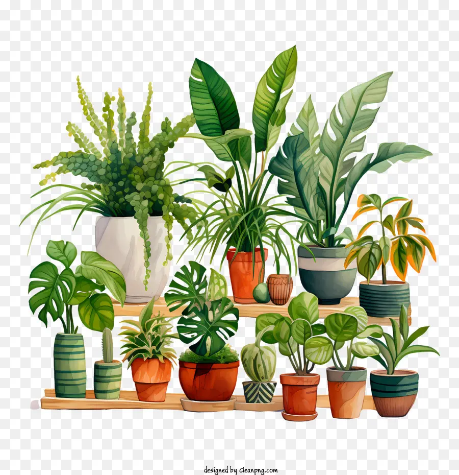Journée D'appréciation Des Plants De Logement，Plante PNG