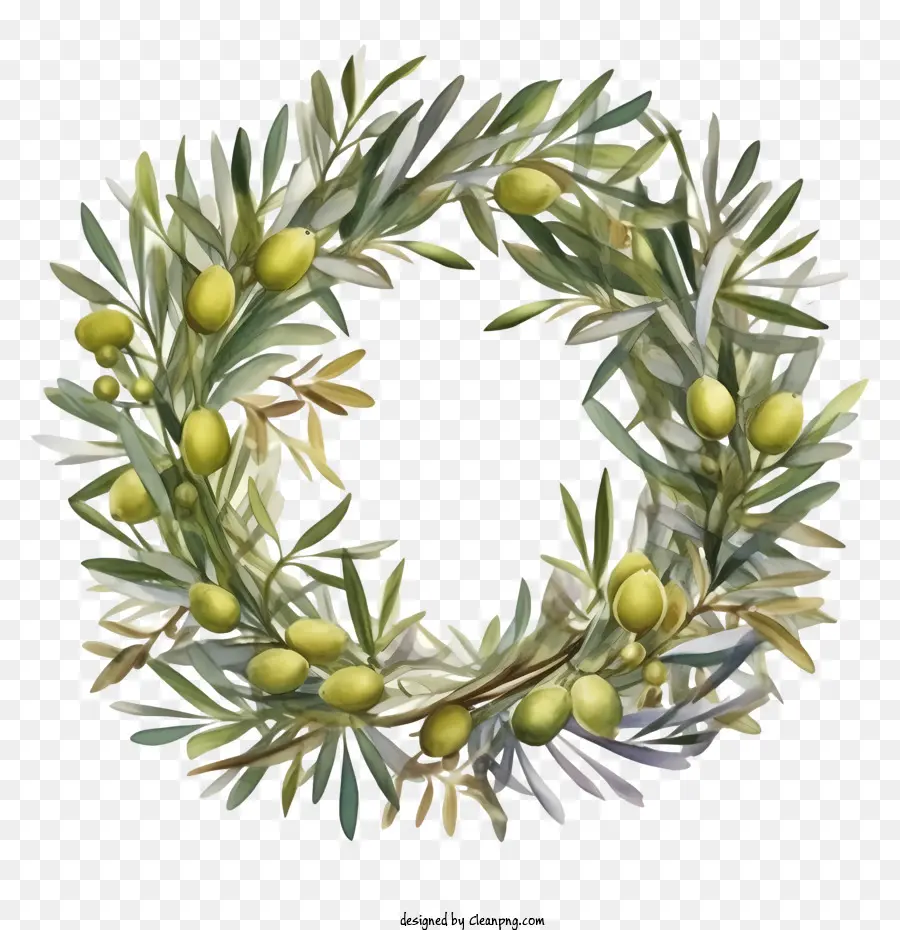 Couronne D'olivier，Couronne Florale PNG