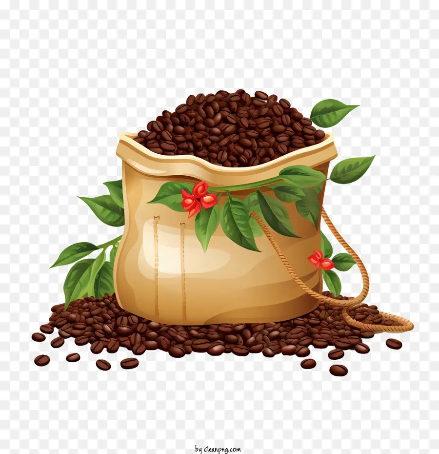 Café En Grains，Sac PNG