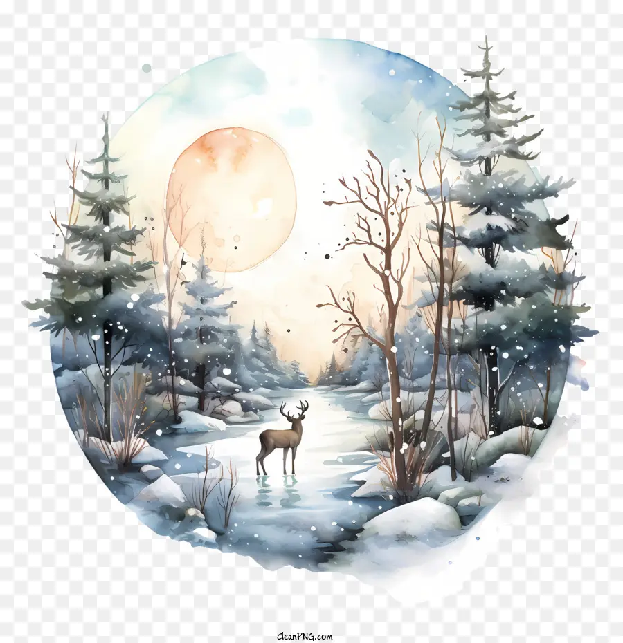 Solstice De Décembre，Paysage D'hiver PNG