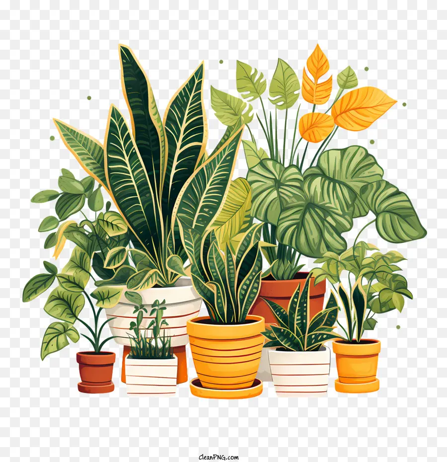 Journée D'appréciation Des Plants De Logement，Les Planteurs PNG
