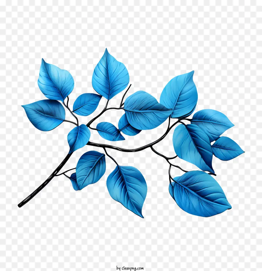 Feuilles Bleues，Bifurquer PNG