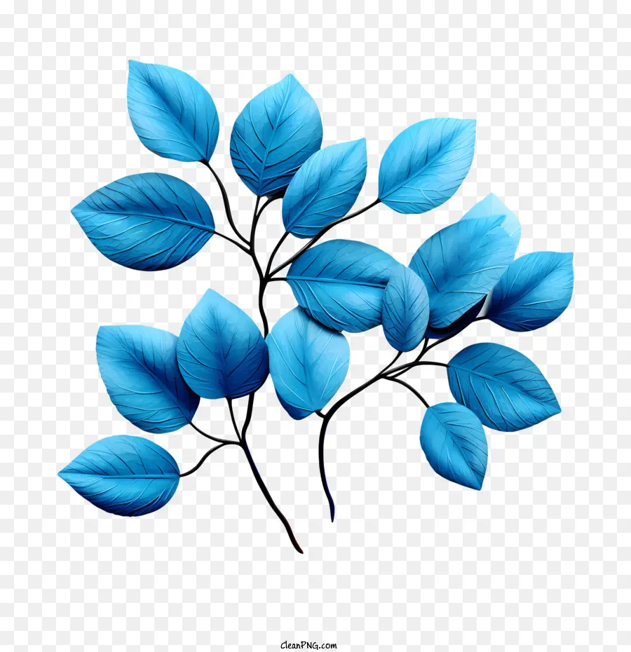 Feuilles Bleues，Branche PNG