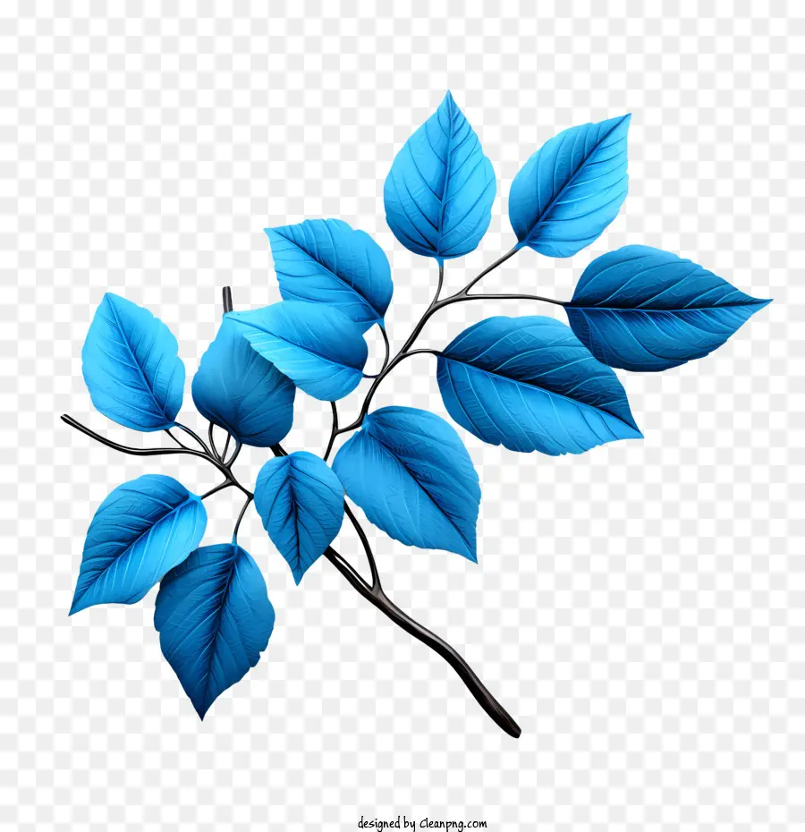 Feuilles Bleues，Vert PNG