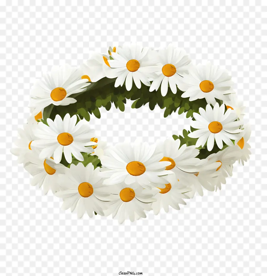 Fleur De Marguerite，Marguerites PNG