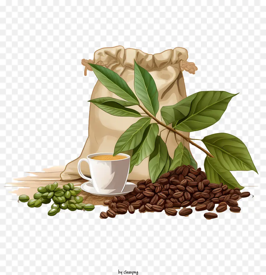 Café En Grains，Tasse PNG