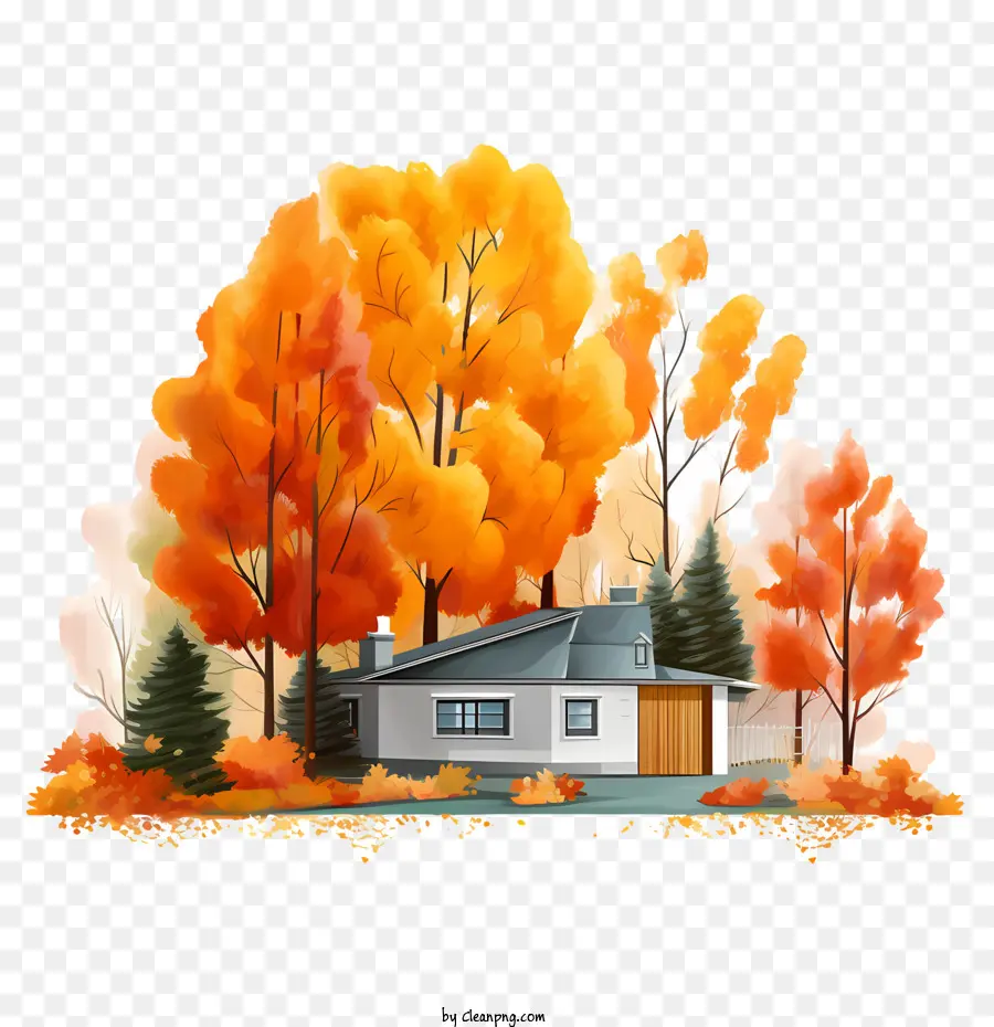 Maison D'automne，Arbres D'automne PNG