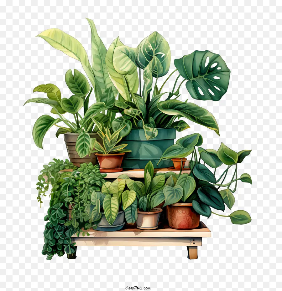 Journée D'appréciation Des Plants De Logement，Plantes Tropicales PNG