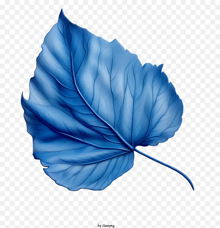 Feuilles Bleues，Feuille Bleue PNG