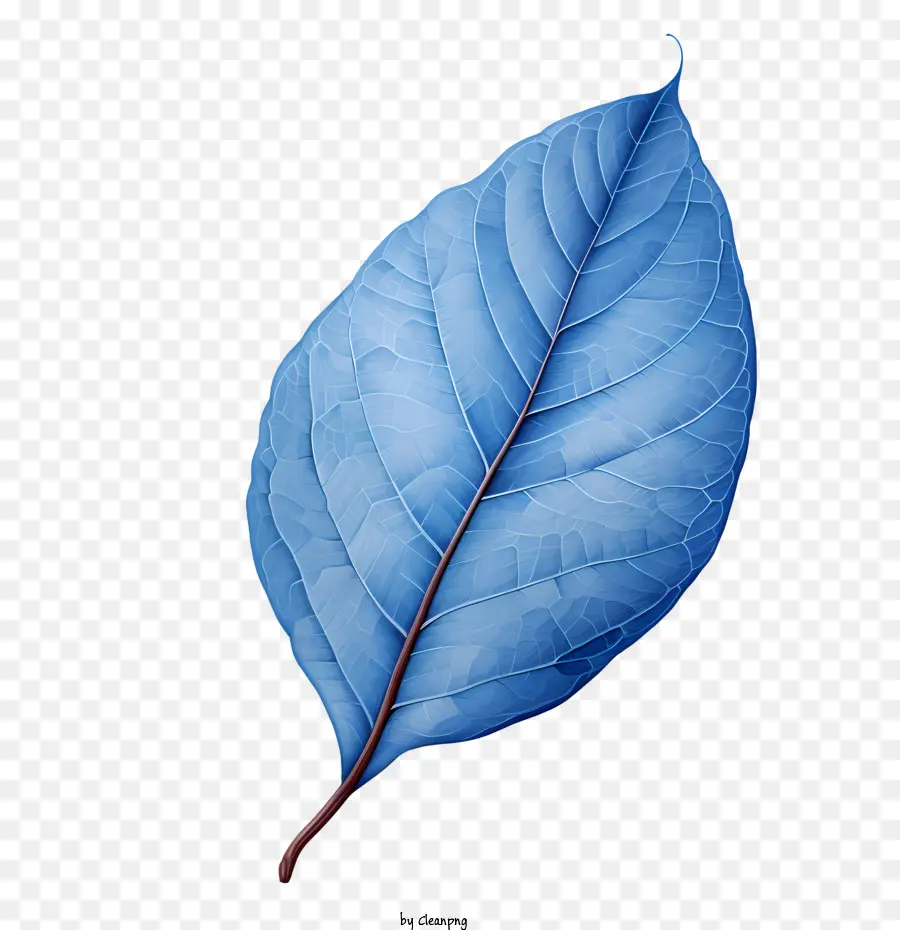 Feuilles Bleues，Feuille Bleue PNG