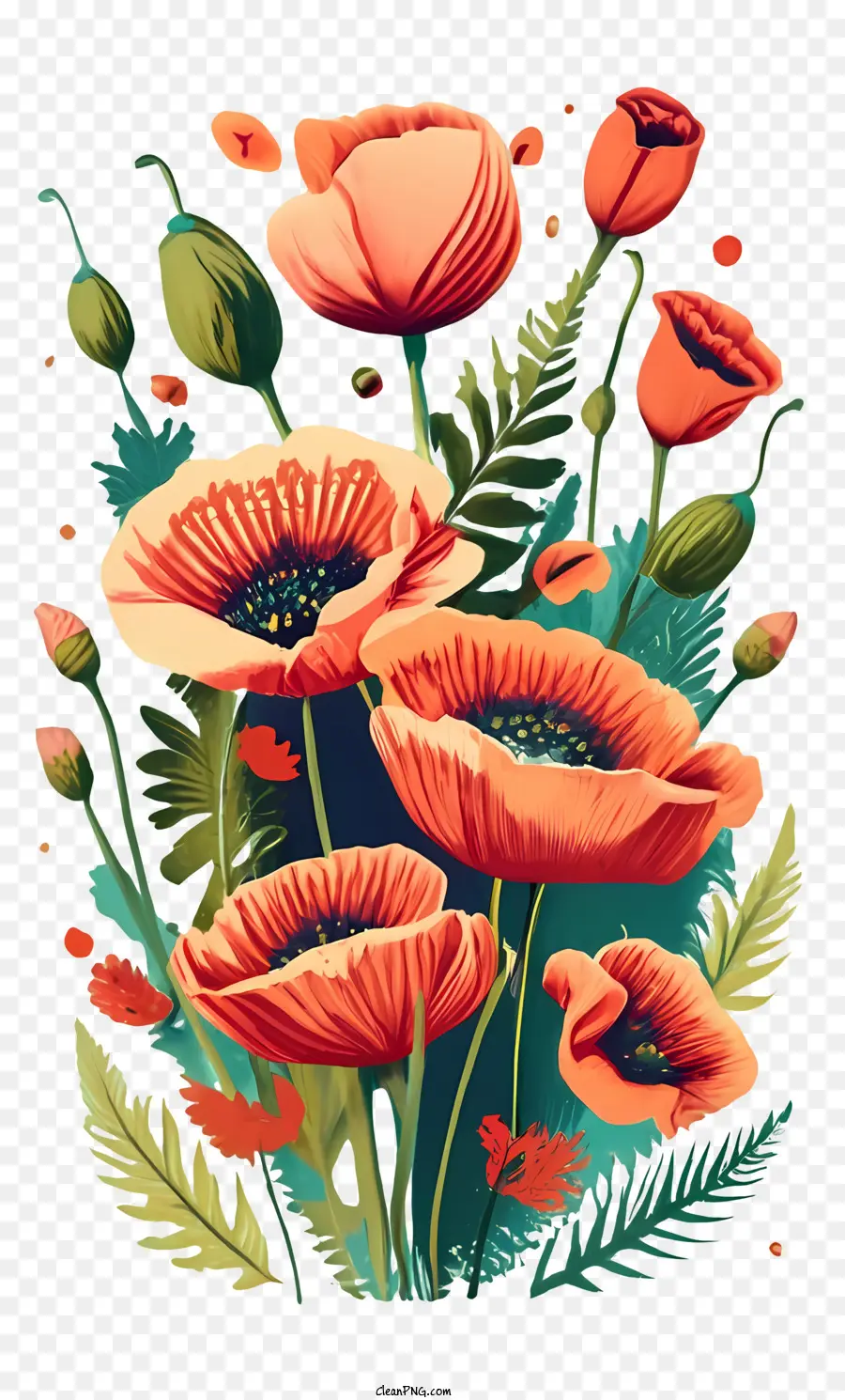 Coquelicot，Floral PNG