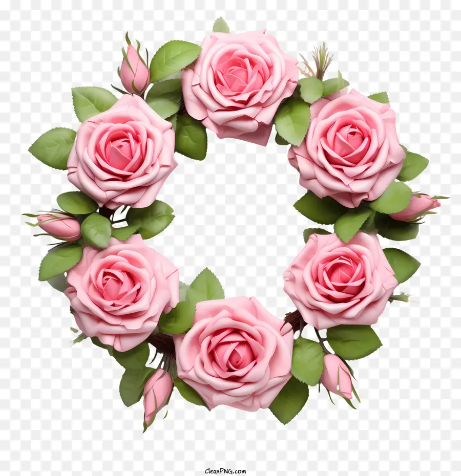 Rose Couronne，Rose PNG