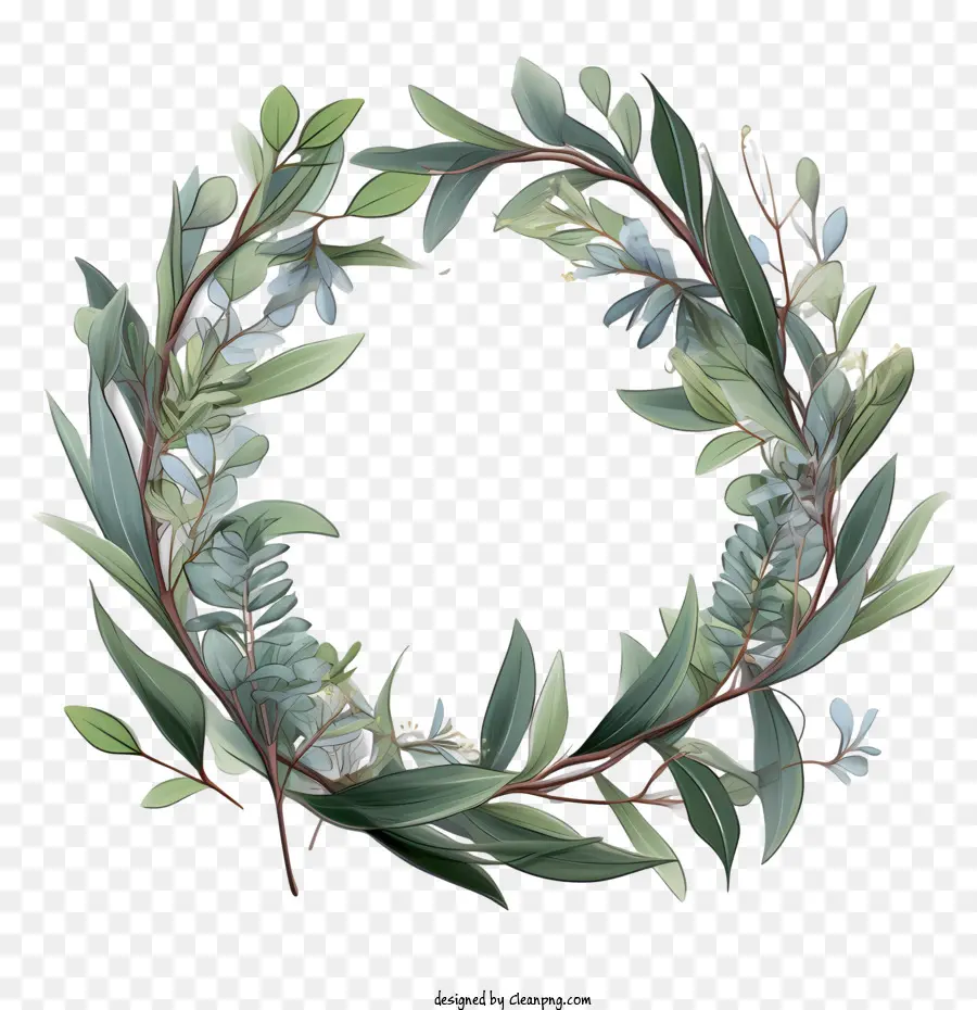 Eucalyptus Couronne，Couronne PNG