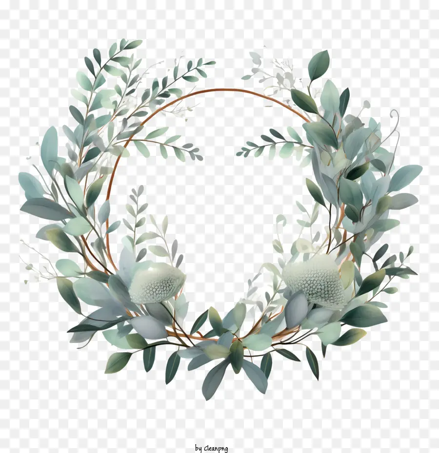 Eucalyptus Couronne，Couronne PNG