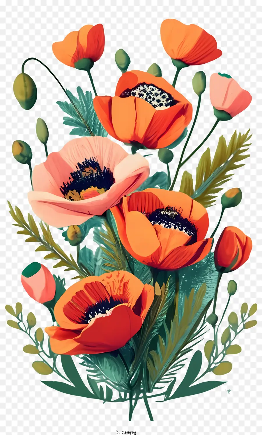 Fleur De Pavot，Coquelicots PNG