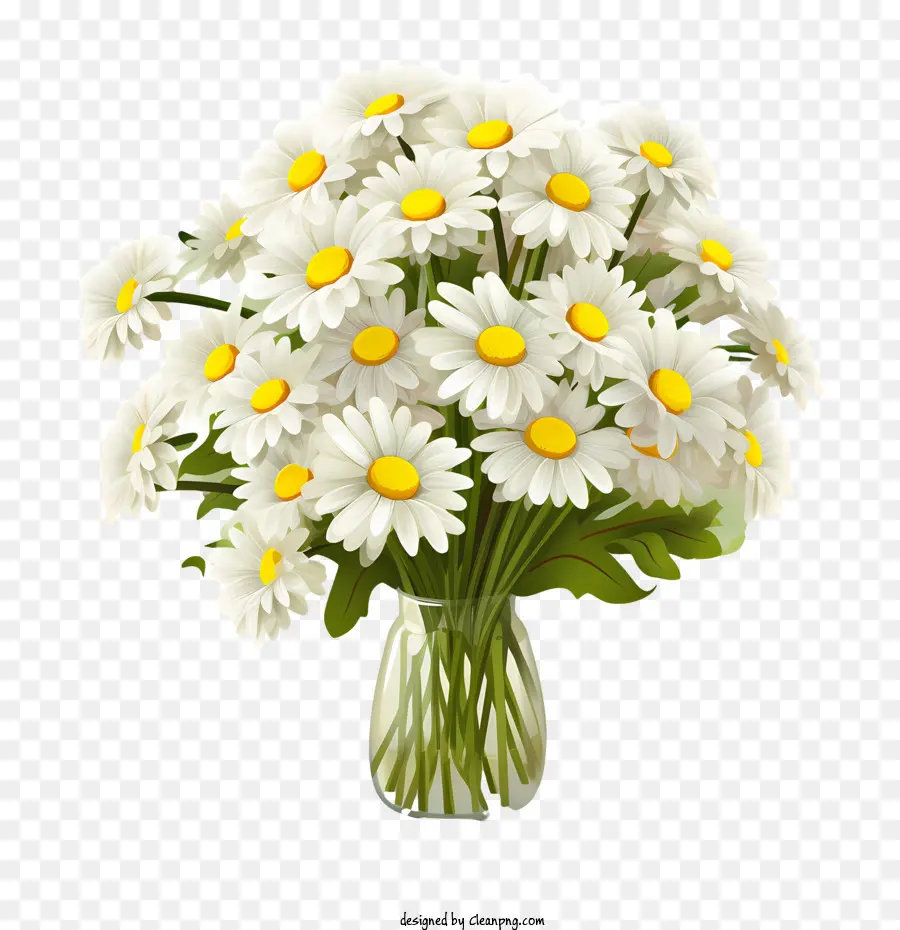 Fleur De Marguerite，Blanc Marguerites PNG