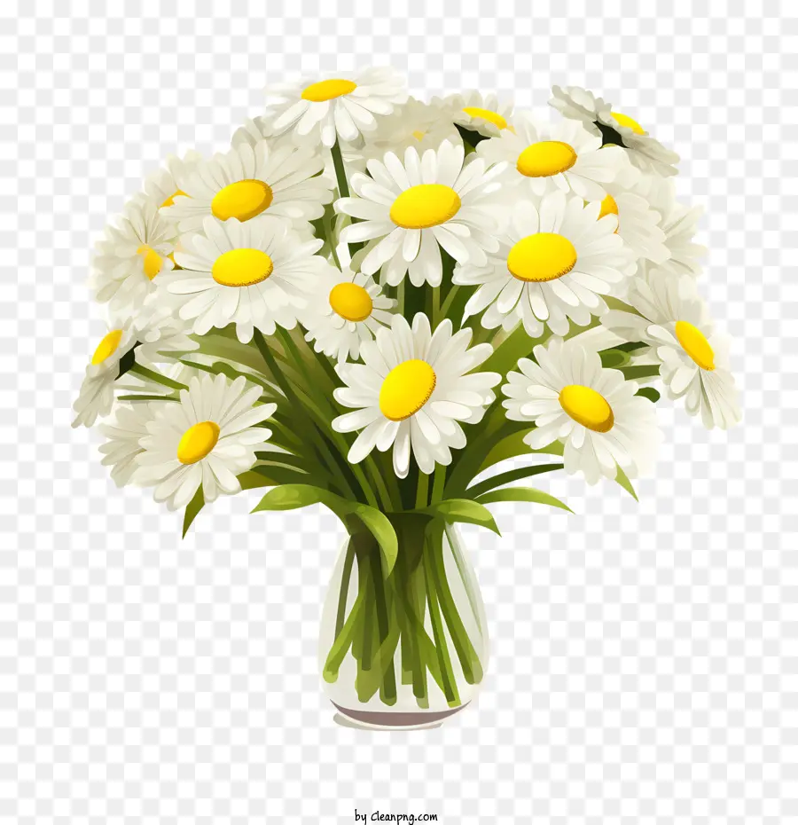 Fleur De Marguerite，Marguerites PNG