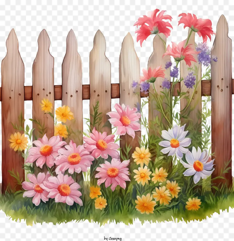 Clôture De Jardin En Bois，Fleurs Colorées PNG