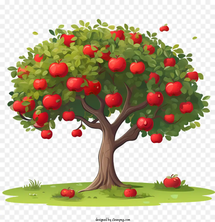 Les Fruits De L'arbre，Pommier PNG
