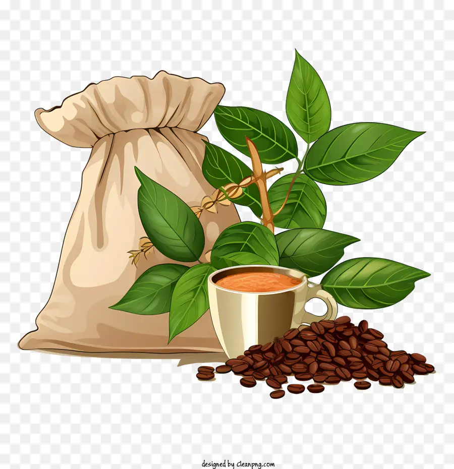 Café En Grains，Sac PNG