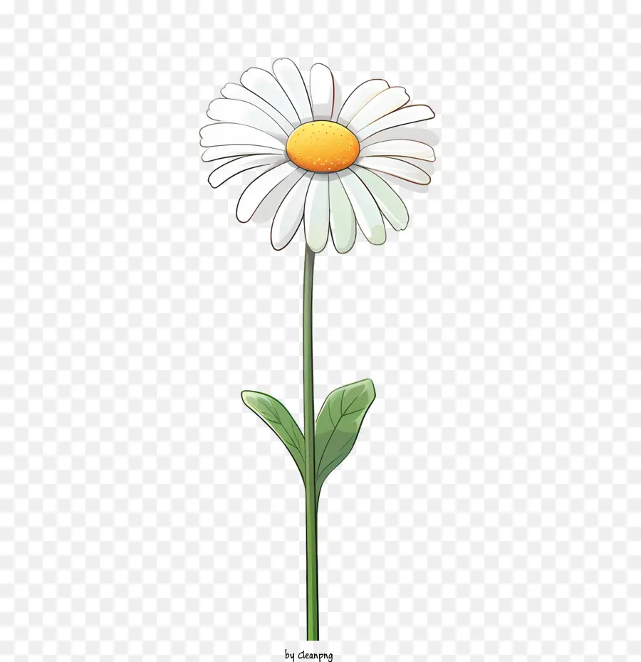 Fleur De Marguerite，Fleur Verte PNG