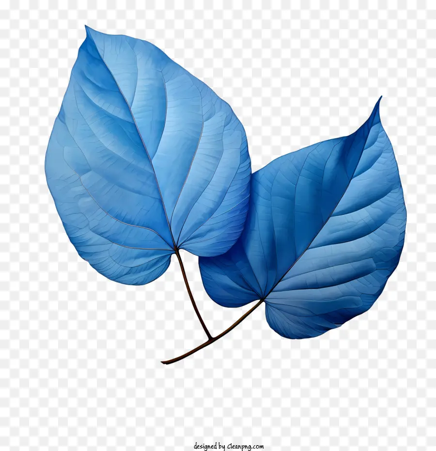 Feuilles Bleues，Feuille Bleue PNG